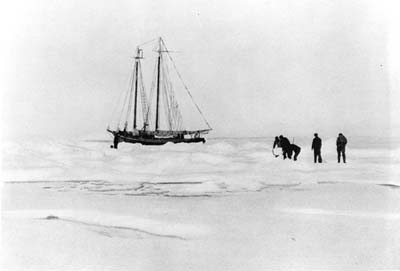 Bering Sea Ice 1930